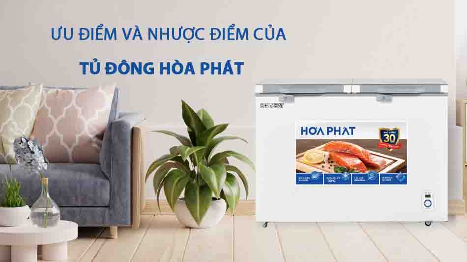 Ưu điểm và nhược điểm của tủ đông Hòa Phát